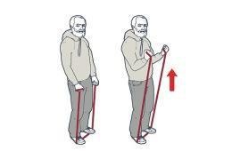 Bicep curle resistence training for seniors